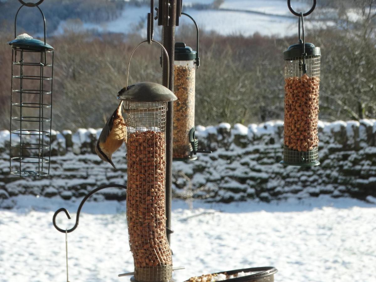Pant Llwyd Farm Villa Llangynidr ภายนอก รูปภาพ