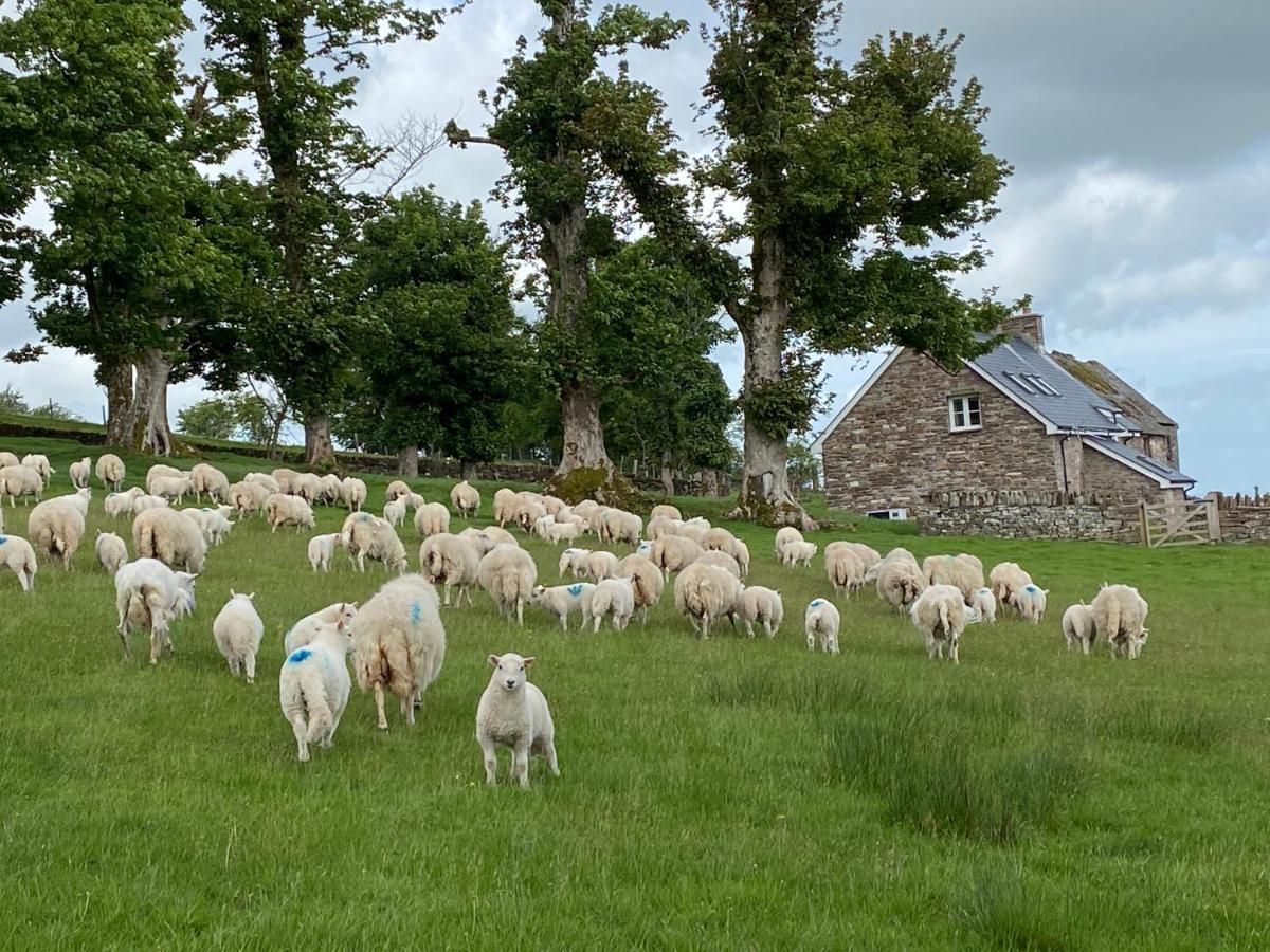 Pant Llwyd Farm Villa Llangynidr ภายนอก รูปภาพ