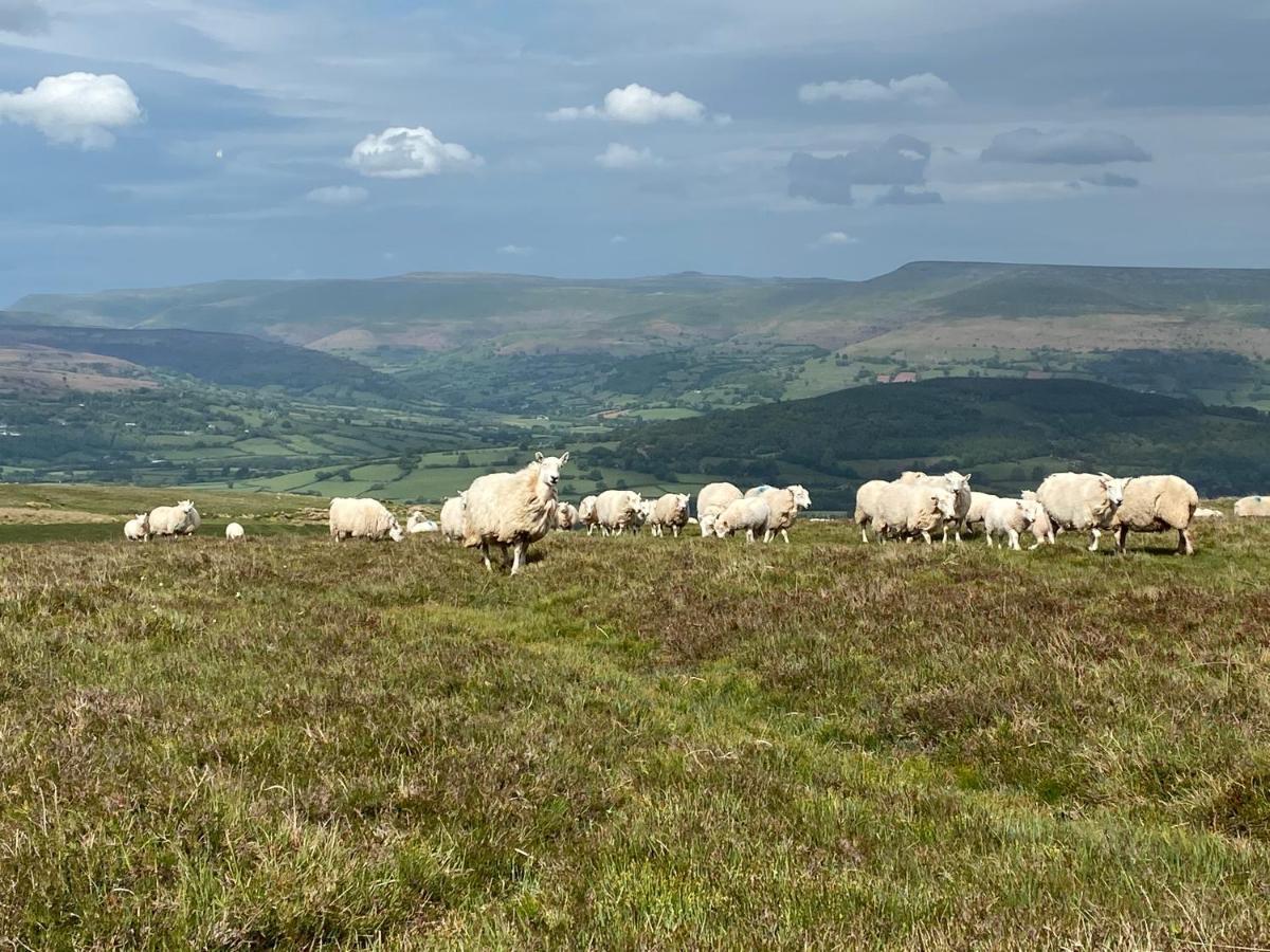 Pant Llwyd Farm Villa Llangynidr ภายนอก รูปภาพ