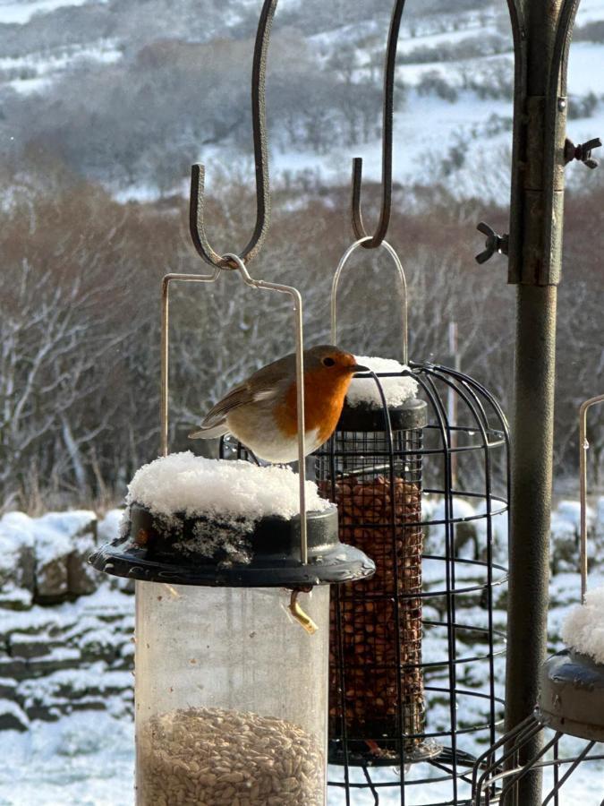Pant Llwyd Farm Villa Llangynidr ภายนอก รูปภาพ