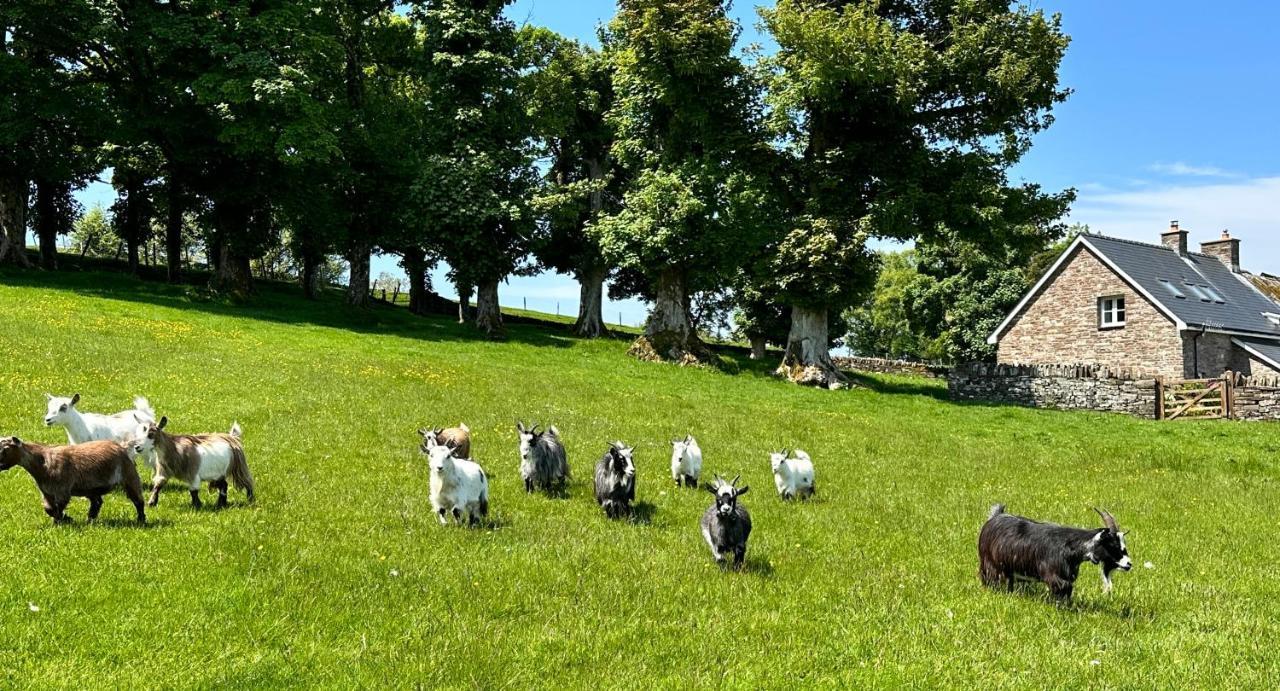 Pant Llwyd Farm Villa Llangynidr ภายนอก รูปภาพ